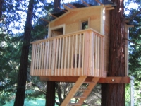 Tree house