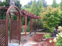 Redwood arbor