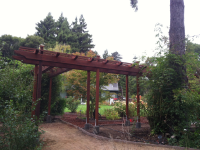 Redwood arbor