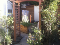Redwood Arbor