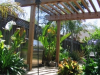 Redwood Pergola