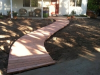 Redwood pathway