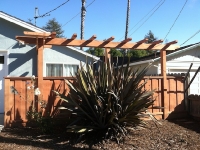 Redwood Arbor and Fence